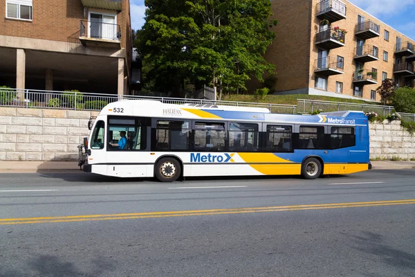 Halifax halk otobüsü — Stok fotoğraf