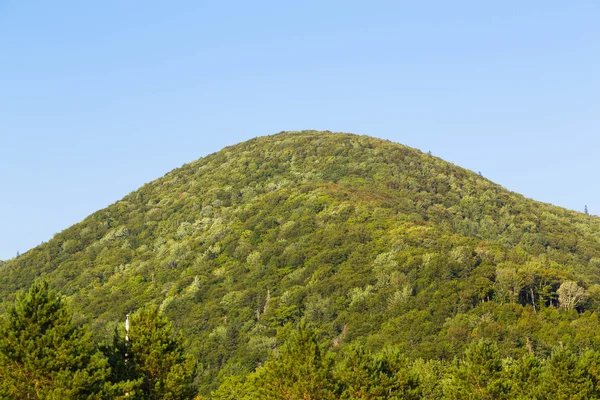 Cape breton tepelerde — Stok fotoğraf