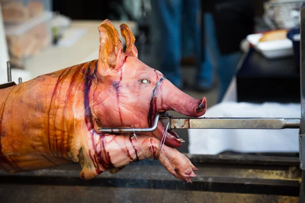 Свинья на вертеле — стоковое фото