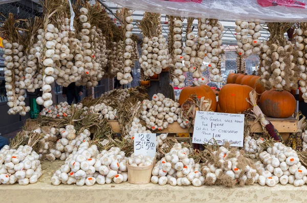 Knoblauchzehen zur Schau gestellt — Stockfoto