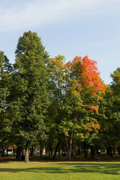 The Start of Fall — Stock Photo, Image