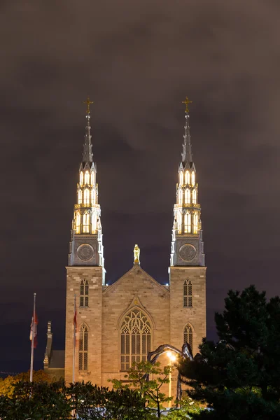 Кафедральний собор Нотр Дам — стокове фото