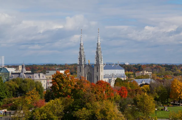 Notre-dame Katedrali Bazilikası