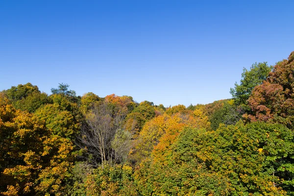 Toronto Ravine — Stock Photo, Image