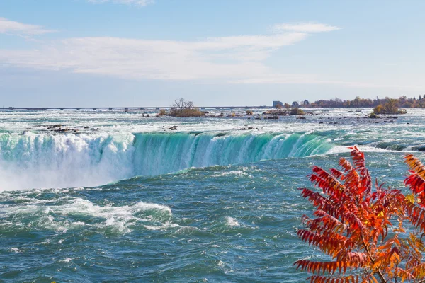 Horseshoe Falls with foliage on the side — Stock Photo, Image