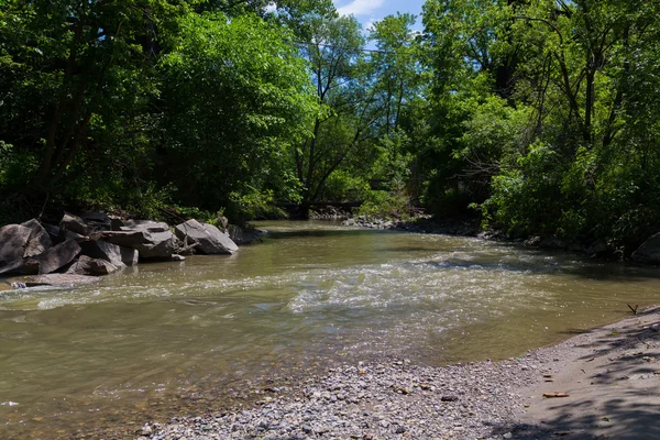 Stream in een ravijn — Stockfoto