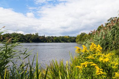 Barışçıl Gölü boşaltmak ve yaprak ile