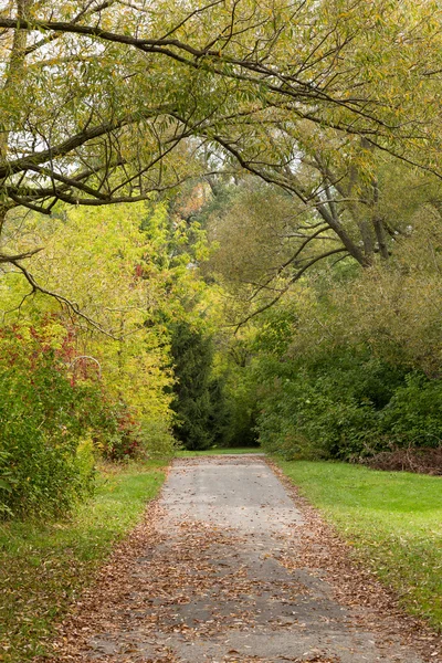 Les arbres dans un parc au début de l'automne — Photo