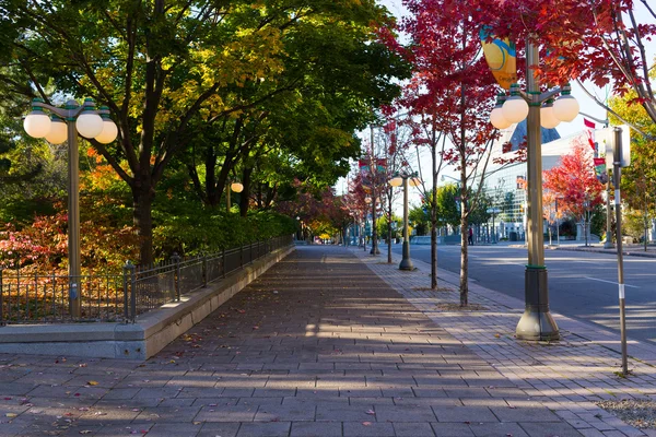 Path in Ottawa during the fall — Stock Photo, Image