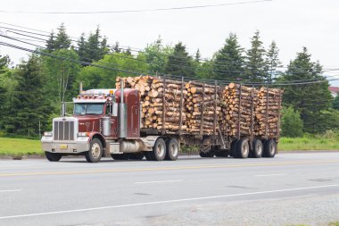 Ahşap kamyon Nova Scotia