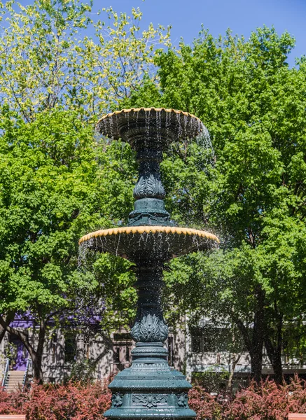 Fountain at Square saint-louis in Montreal — Stok fotoğraf