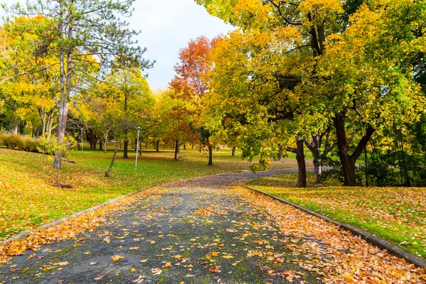 Pedestrian Path in Canada in the Fall — Stock Photo, Image