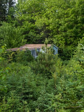 Cape Breton büyümüş evde