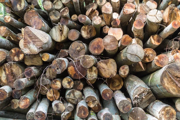 Grote hoeveelheden van gesneden logs gestapeld in een stapel — Stockfoto