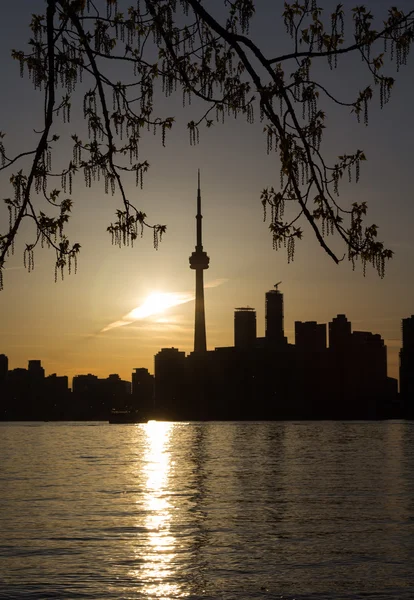 Downtown Toronto and Foilage — Stock Photo, Image