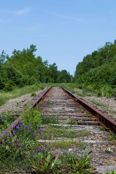 Eski demiryolu parça Cape Breton, Nova Scotia — Stok fotoğraf