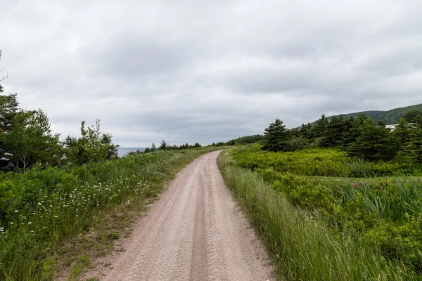 Vuil Tracks in Cape Breton-eiland — Stockfoto