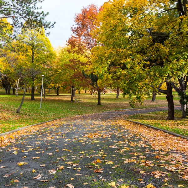 Pedestrian Path in Canada in the Fall — Stock Photo, Image