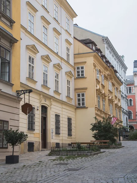 Byggnaderna och de stenlagda gatorna i Wien — Stockfoto