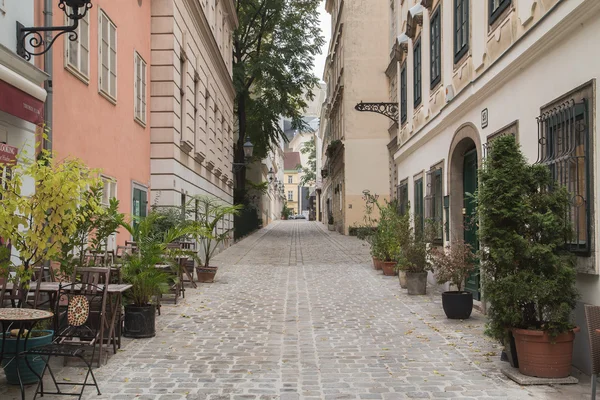 Edifícios e ruas cobertas em Viena — Fotografia de Stock