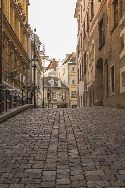 Calles empedradas en Viena — Foto de Stock