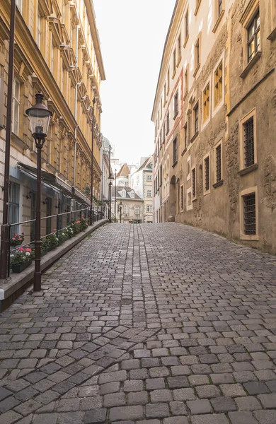 Viyana'da Arnavut kaldırımlı sokakları — Stok fotoğraf