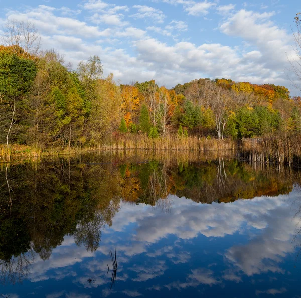 Trees in the Fall Reflecting in a Lake — Stock Photo, Image