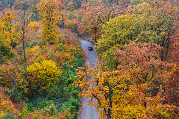 Осень в Австрии — стоковое фото