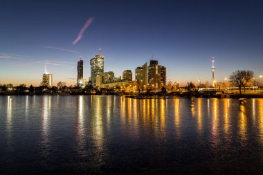 Alte Donau kışın Viyana'da