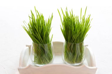 Beyaz tepside bardakta buğday taneleri, mikro yeşil buğday. Ön manzara, kopyalama alanı. Sağlıklı gıda konsepti.