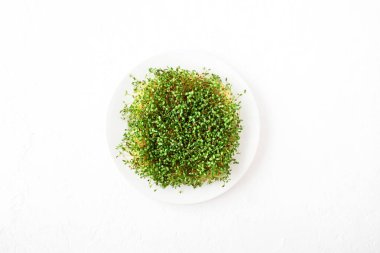 Beyaz beton zemin üzerinde bir tabakta çiğ mikroyeşil yonca filizleri, düz bir zemin. Sağlıklı yeme kavramı