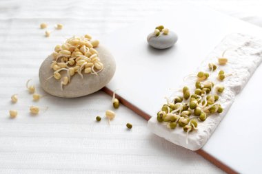 Çiğ fasulye filizi. Sağlıklı gıda konsepti.