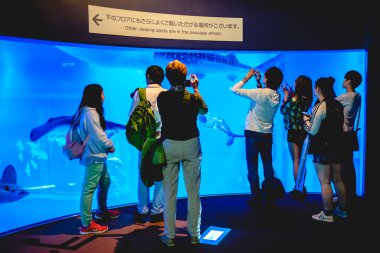 Gezginler büyük bir balina ve diğer deniz canlılarını izliyor ve akvaryum, Osaka, Japonya 'da fotoğraf çekiyor.