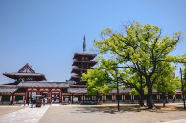 Pagoda ve güzel Budist tapınağı güneşli bir günde, Osaka, Japonya