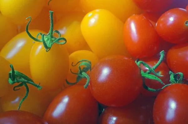 Kırmızı ve sarı domates "kiraz" arka plan olarak — Stok fotoğraf