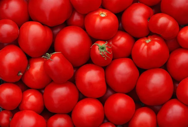 Red ripe tomatoes as background — Stock Photo, Image