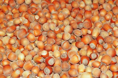 arka plan olarak fındık yakın çekim