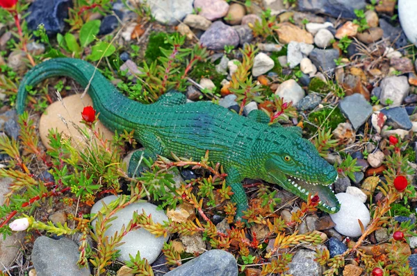 Figura de plástico de un cocodrilo en el jardín de rocas — Foto de Stock