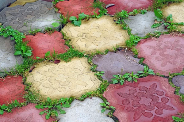 Caminho de azulejos coloridos da grama crescente nas lacunas como de volta — Fotografia de Stock