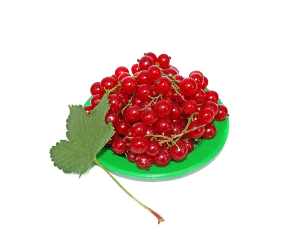 Red currant on small plates decorated with leaves isolated — Stock Photo, Image