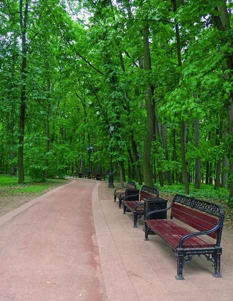 Plusieurs bancs le long d'une passerelle dans un parc d'été — Photo