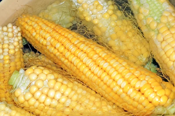 Цицьки кукурудзяного приготування у воді крупним планом — стокове фото