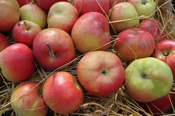 Äpfel in Großaufnahme auf Stroh — Stockfoto