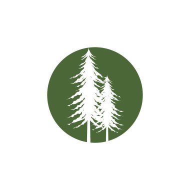 Sedir ağacı illüstrasyon logo şablonu