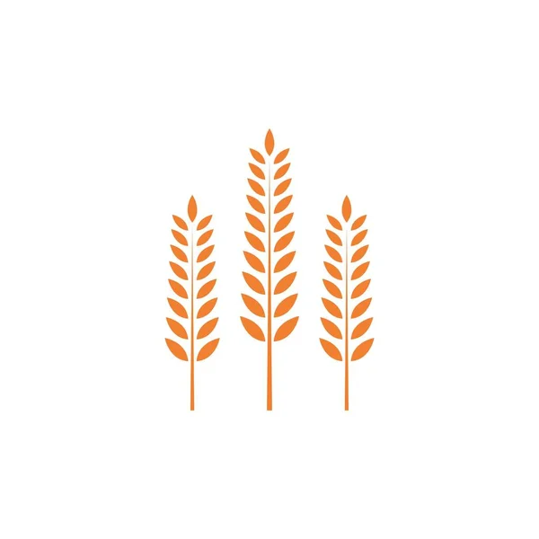 Buğday Illüstrasyon Logo Vektör Tasarımı — Stok Vektör