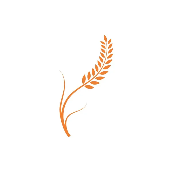 Векторный Дизайн Логотипа Пшеницы — стоковый вектор