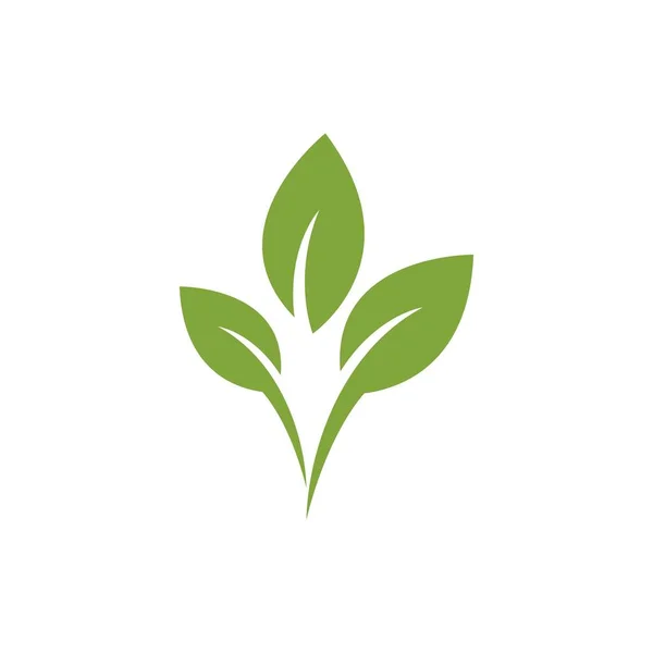 Иллюстрация Дизайна Логотипа Зеленого Листа — стоковый вектор