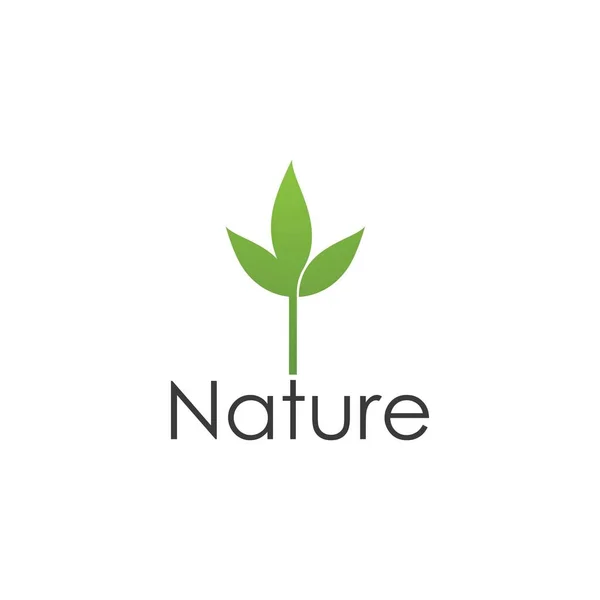 Yeşil Yaprak Illüstrasyon Doğa Logosu Tasarımı — Stok Vektör