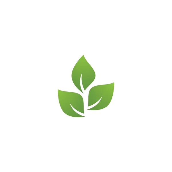Grönt Blad Illustration Natur Logotyp Design — Stock vektor