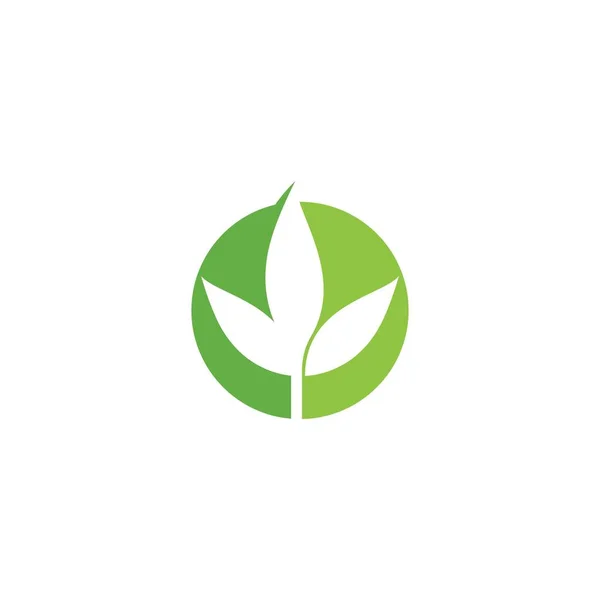 Verde Foglia Illustrazione Natura Logo Design — Vettoriale Stock